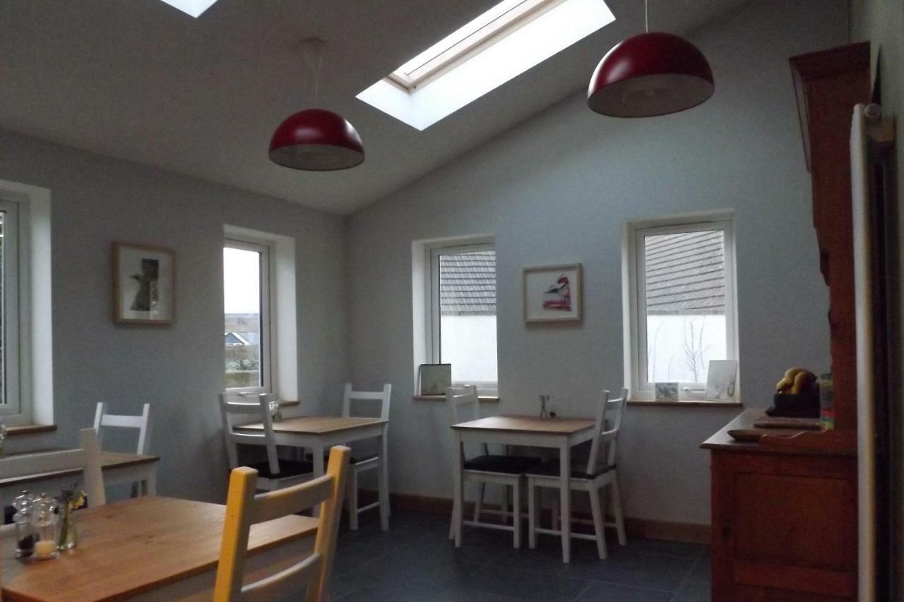Ty Boia Bed & Breakfast St Davids Exteriér fotografie