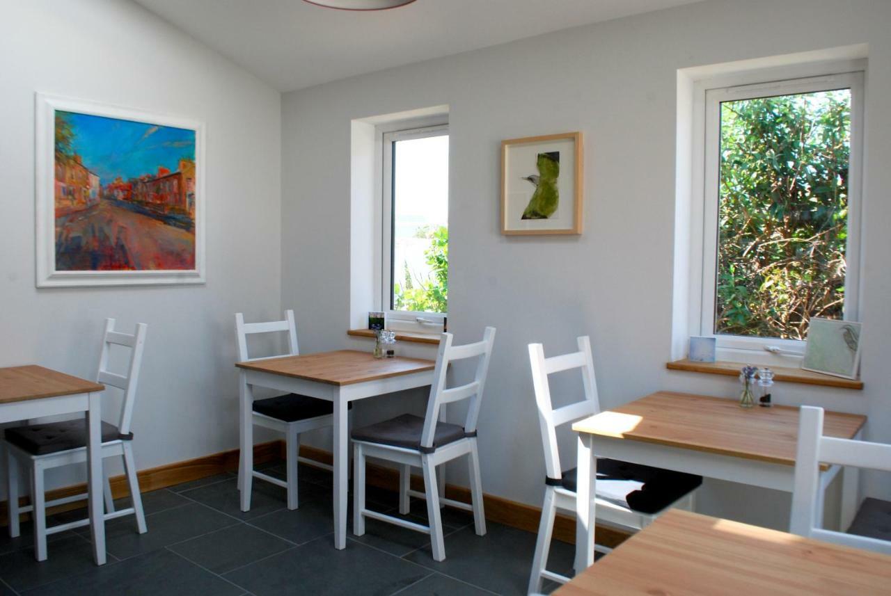 Ty Boia Bed & Breakfast St Davids Exteriér fotografie