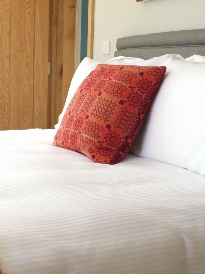 Ty Boia Bed & Breakfast St Davids Exteriér fotografie